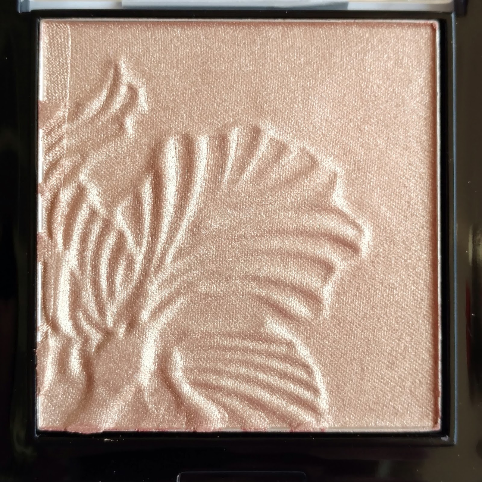 2 x Wet n Wild Hightighting Powder Set