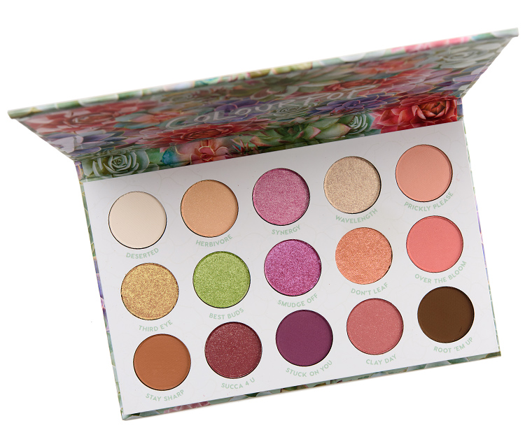 Colourpop Garden Variety Palette Set